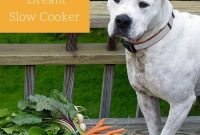 How to Choose the Right Slow Cooker for Your Kitchen