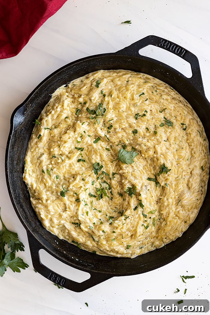 featured 26161