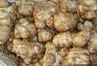 Sous Vide Parmesan Sunchokes Recipe: Crispy, Tender Jerusalem Artichokes