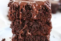 Paleo Double Chocolate Thin Mint Brownies — Gluten-Free Recipe