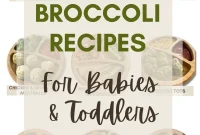 15 Nutritious Broccoli Recipes for Babies and Toddlers