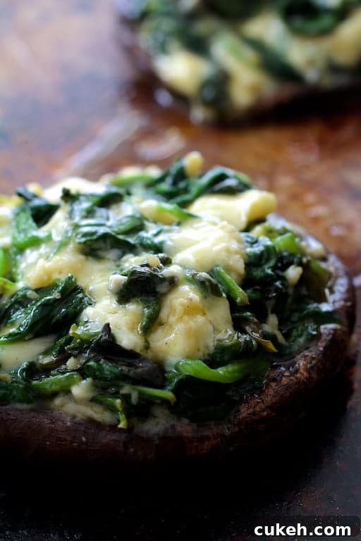 Beef Tenderloin Fillets with Spinach-Stuffed Portobello Mushrooms 4 Photo of Spinach Cambozola Stuffed Mushrooms.