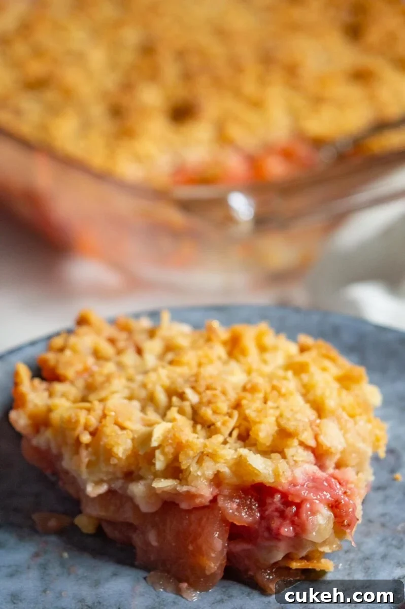 Strawberry Apple Crisp with Cinnamon Oat Topping 4 Close up of a slice of apple strawberry slices topped with gold crumbles.