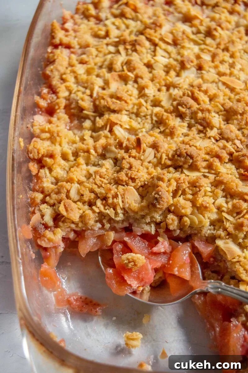 Strawberry Apple Crisp with Cinnamon Oat Topping 6 A spoon with pink sliced fruit taken from a dish of fruit crisp.