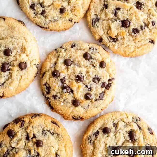 chocolate chip cookies on partchment paper