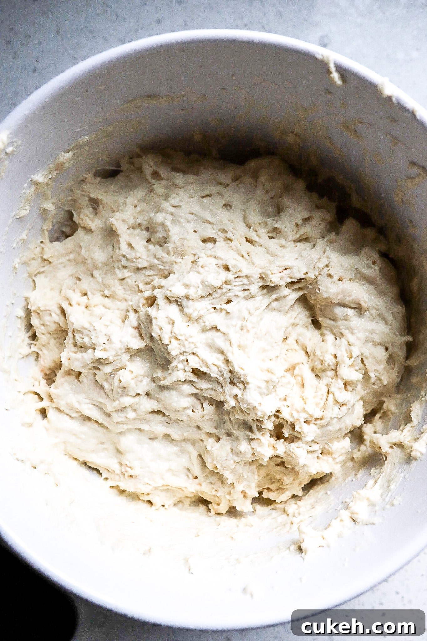 Top down view of raw bread dough in white bowl.