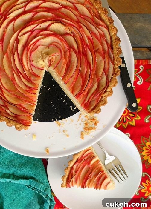 Overhead shot of chai apple cheesecake tart with concentric rings of thin apple slices and a cut slice of the tart on a separate plate.
