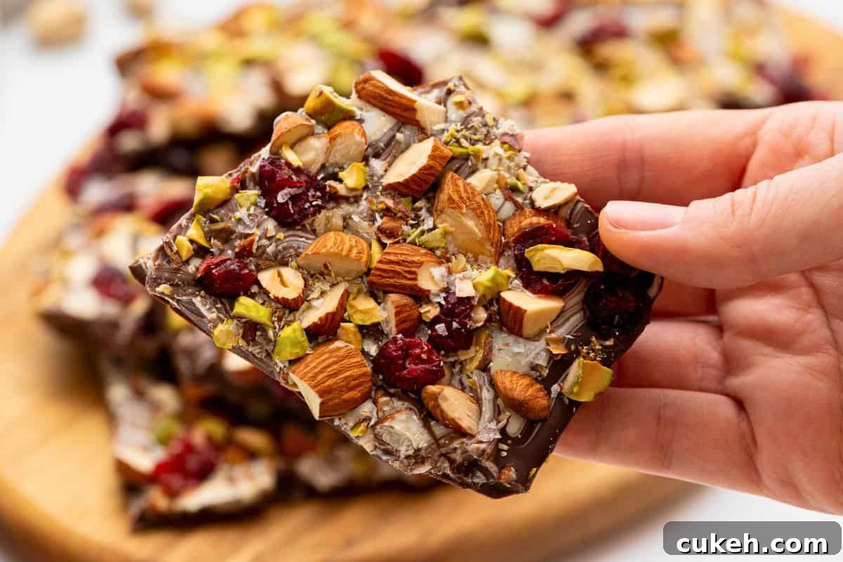 Hand holding piece of homemade chocolate bark with dried cranberries and nuts.