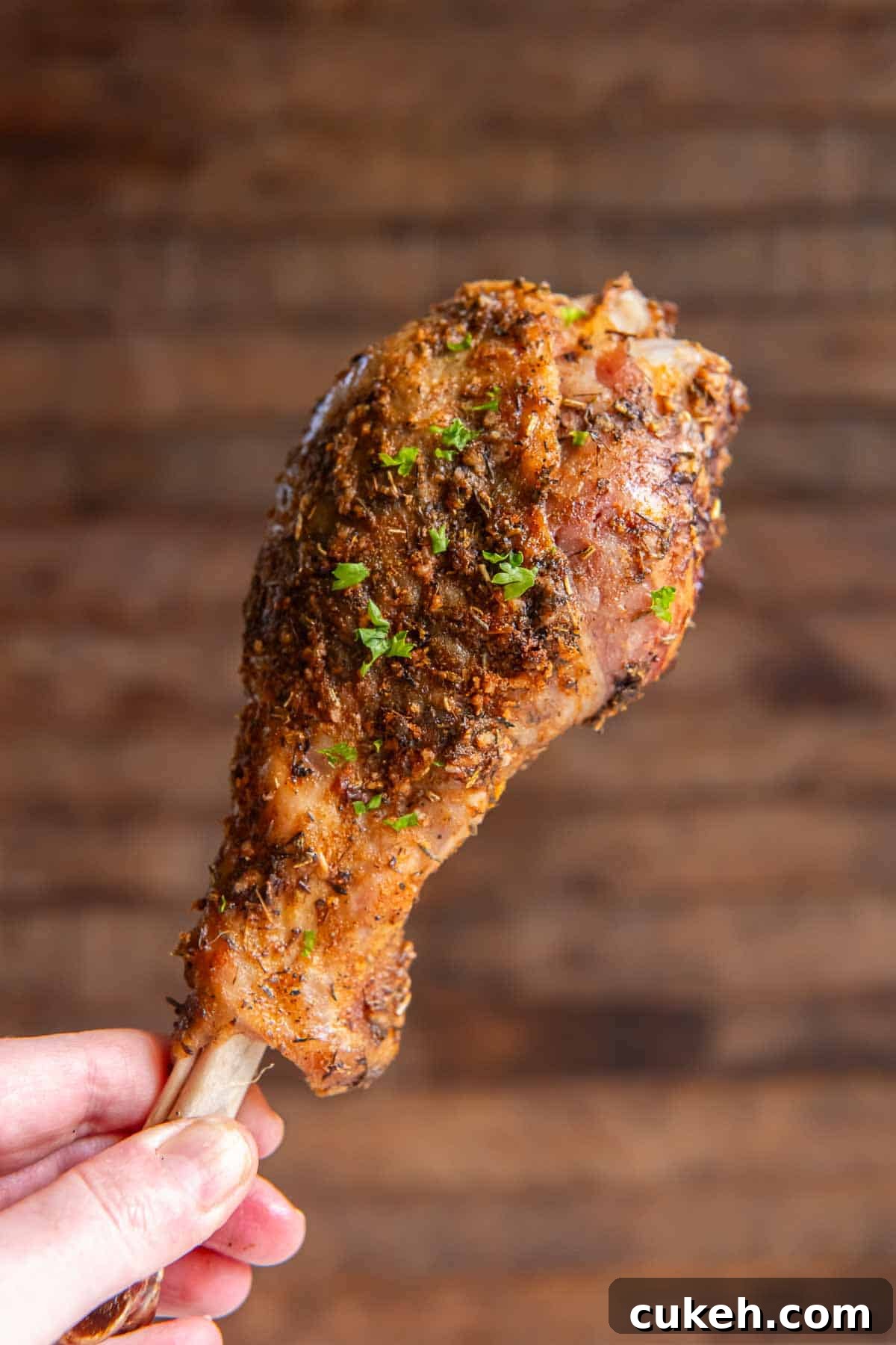 A hand holding a turkey drumstick.