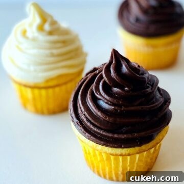 How to Improve Boxed Cake Mix-chocolate-and-vanilla-cupcakes