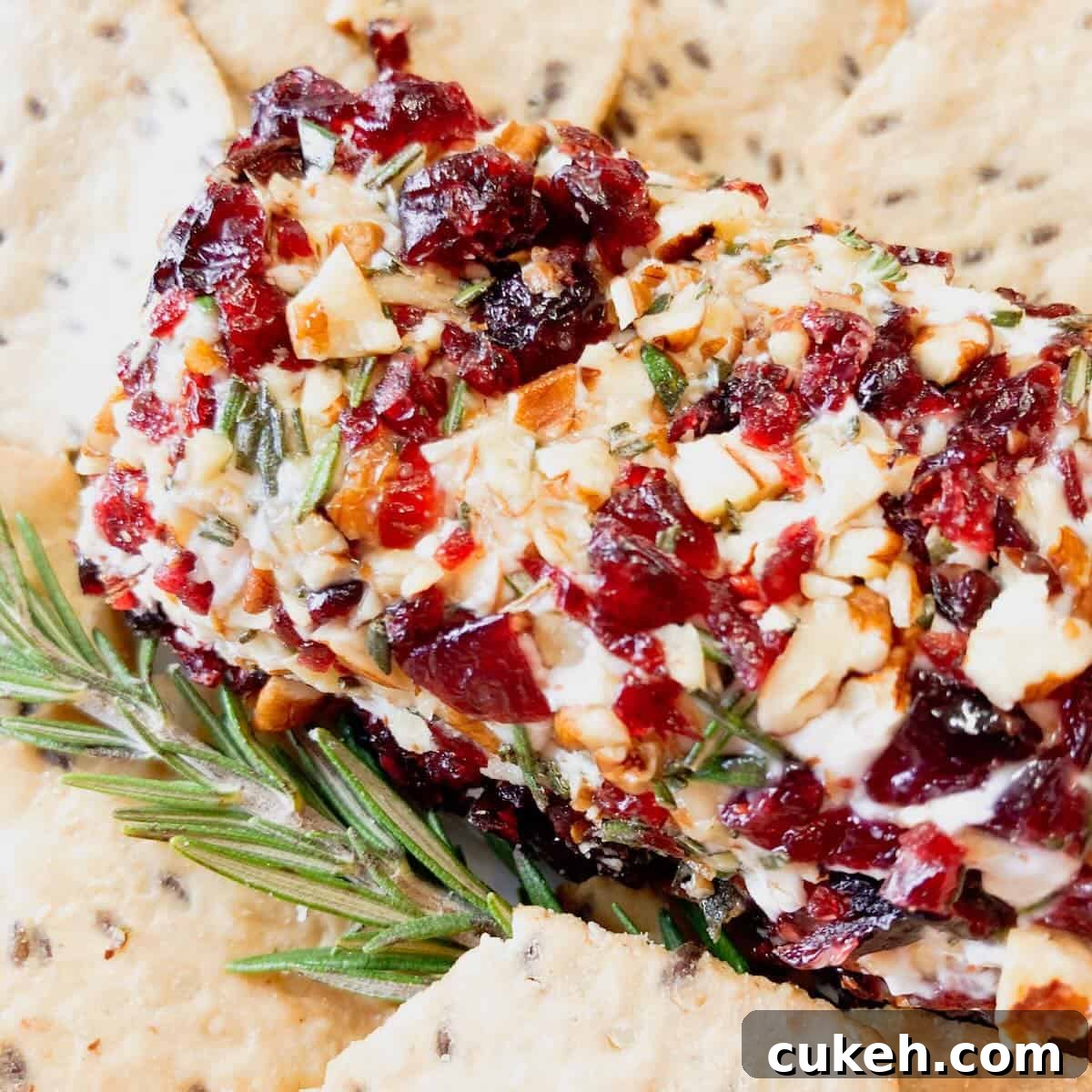 A goat cheese log coated in dried cranberries, rosemary and pecans with crackers on the side.
