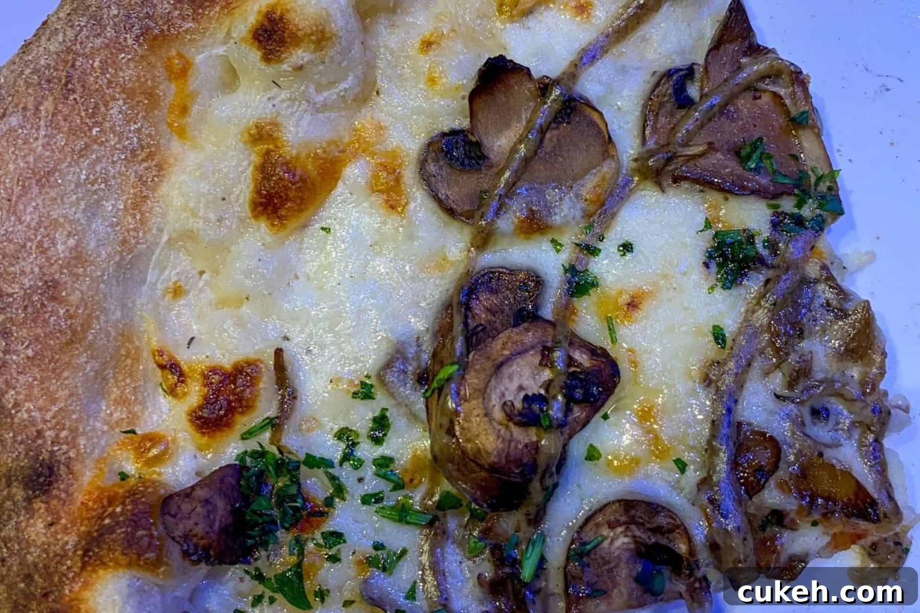 the giant mushroom pizza pizza moon