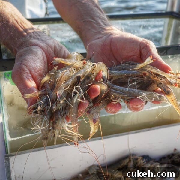 48 Hours in Gulf Shores: A Perfect Weekend Itinerary 13 A weekend in Gulf Shores, Alabama - sun, sand and fun! A perfect place for a family vacation or weekend escape!