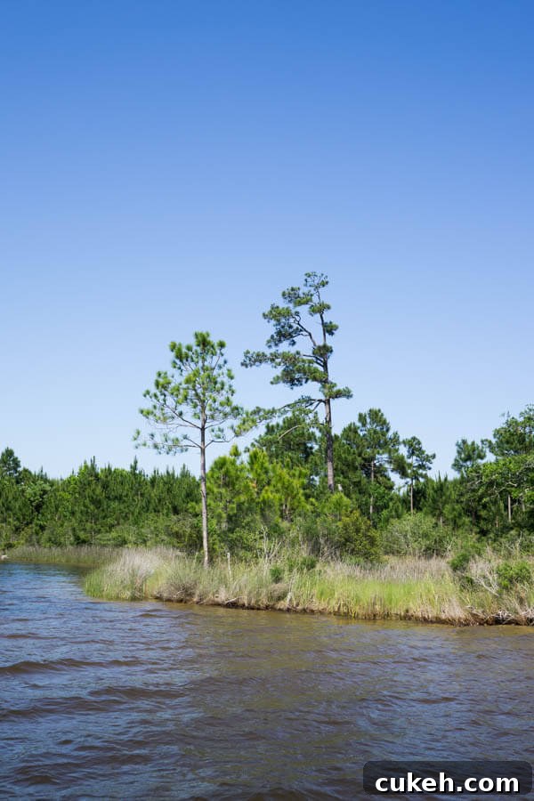 48 Hours in Gulf Shores: A Perfect Weekend Itinerary 10 A weekend in Gulf Shores, Alabama - sun, sand and fun! A perfect place for a family vacation or weekend escape!