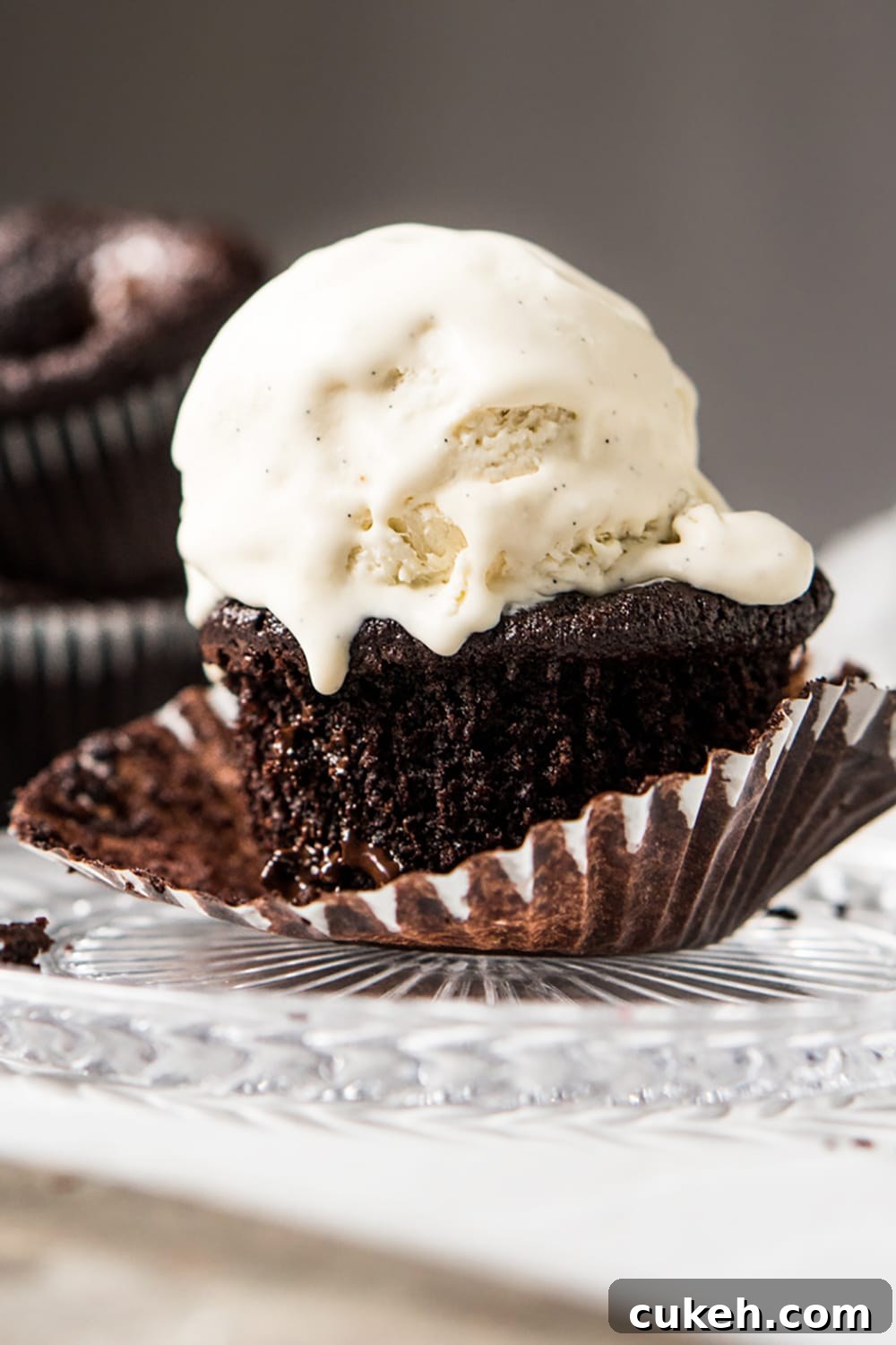 Low Carb chocolate muffin with a scoop of vanilla ice cream on top