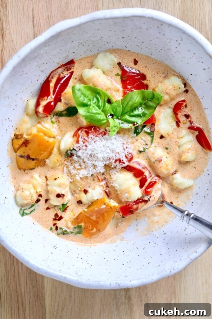 Pasta in creamy sauce, gnocchi