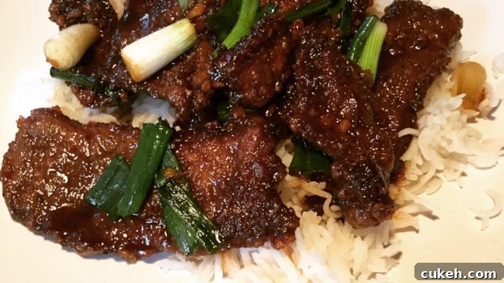 Mongolian Beef and Spring Onions