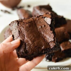 hand holding a fudge brownie
