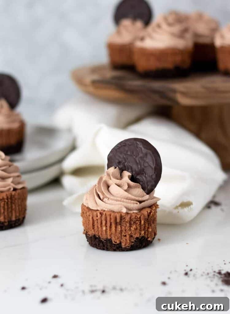 mini chocolate cheesecake with a cookie on top