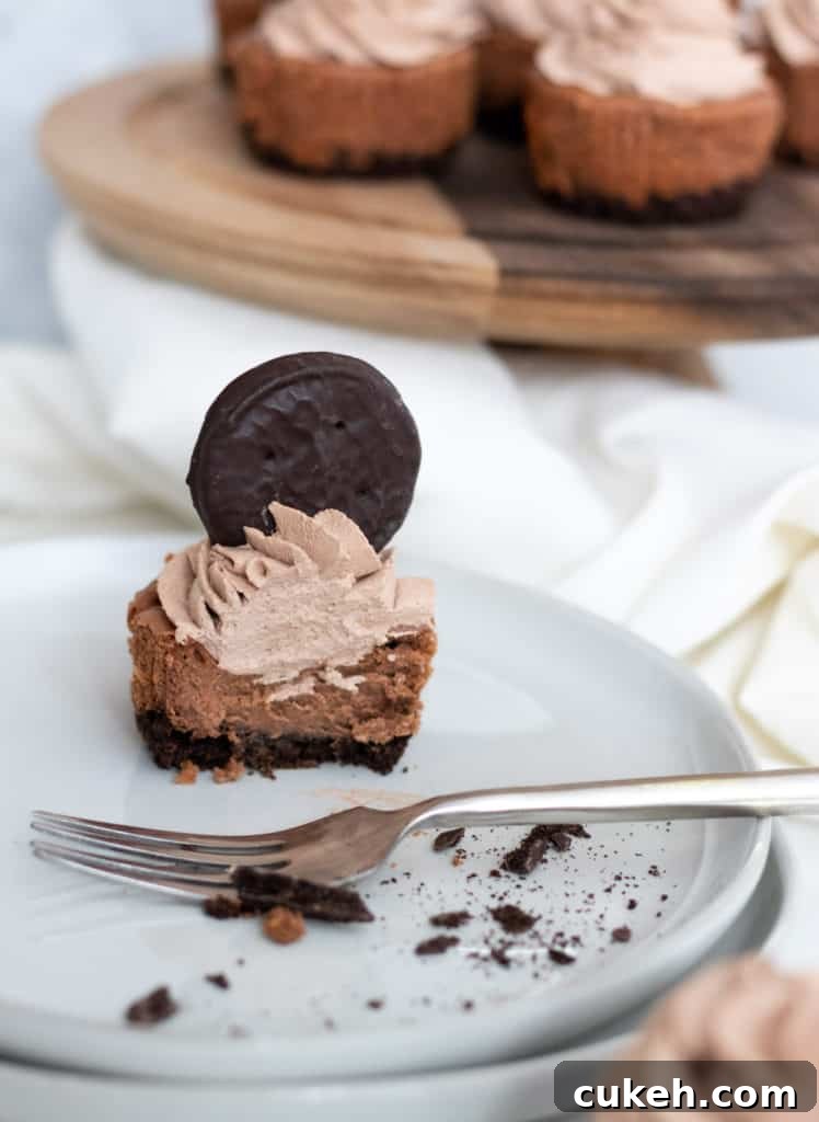 close up of mini chocolate cheesecake on a plate with a fork