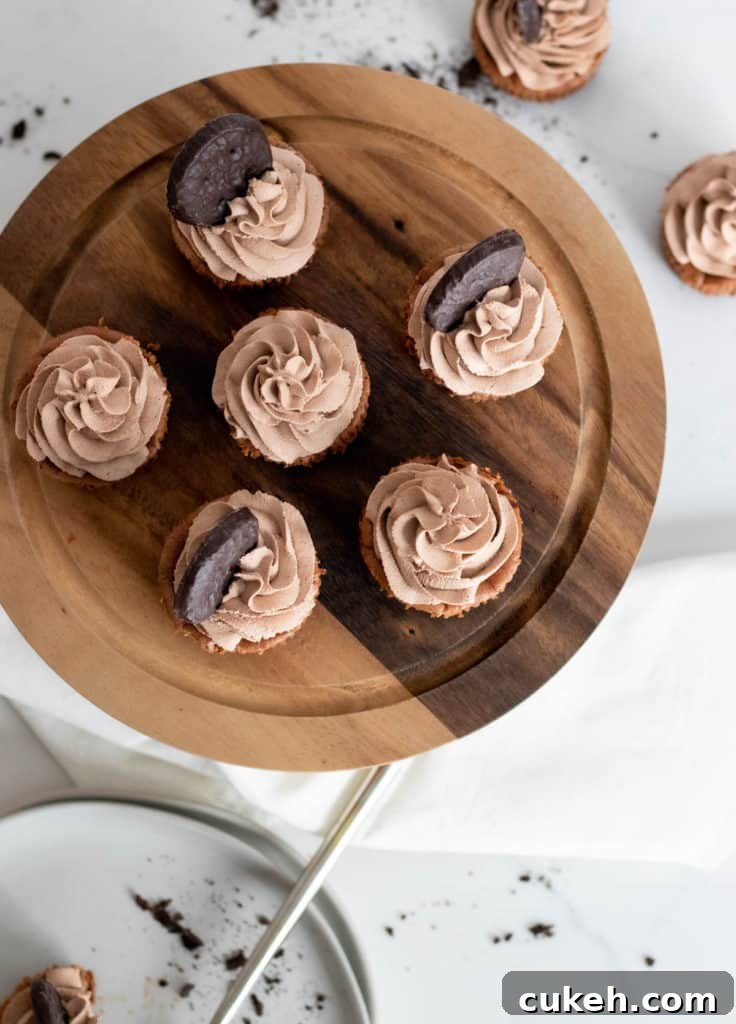 overhead view of mini chocolate cheesecakes on a cake pedestal