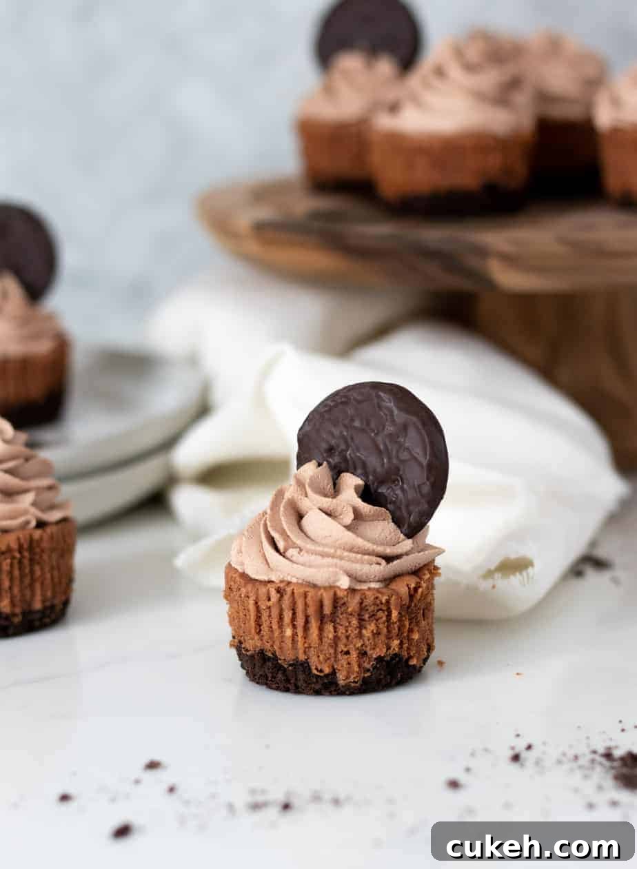 mini chocolate cheesecake with a cookie on top