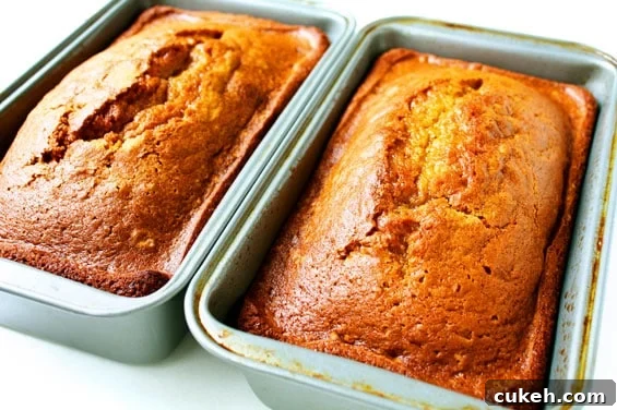 pumpkin-bread-fresh-out-of-the-oven