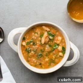 Red Lentil, Fennel and Chicken Slow Cooker Soup / Sarah Crowder / Katie Workman / themom100.com