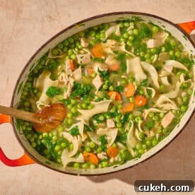 Leftover turkey soup in large bowl on table.