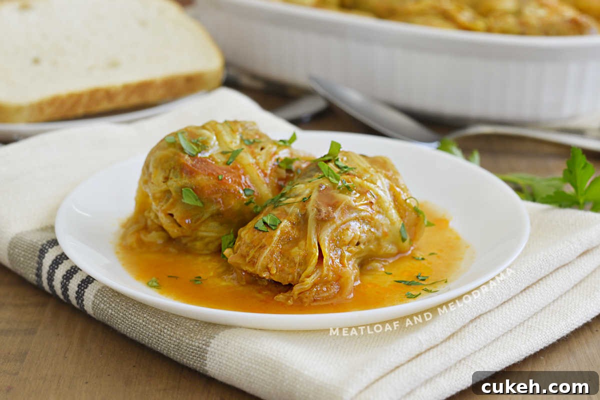 2 stuffed cabbage rolls (halupki) in tomato soup sauce on a white plate