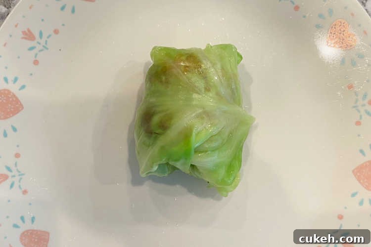 meat rolled up in uncooked cabbage roll on a plate