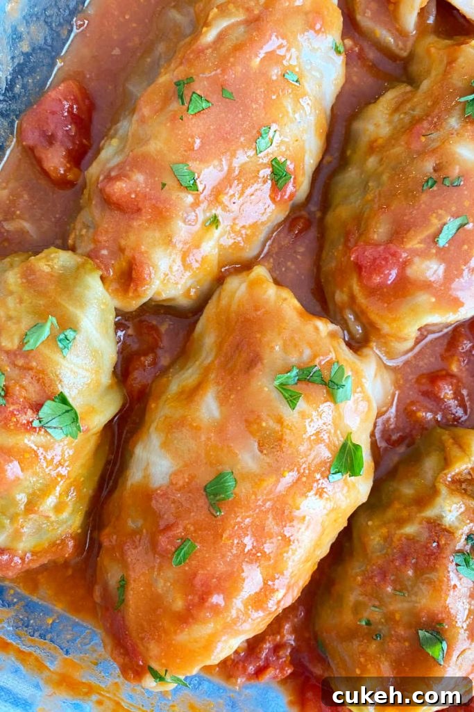 baked stuffed cabbage rolls in tomato sauce in pan