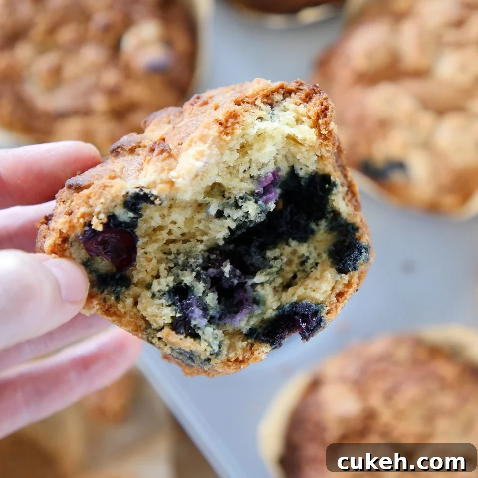 Giant Blueberry Muffins Recipe for Soft, Juicy Results 2 Jumbo Blueberry Muffins