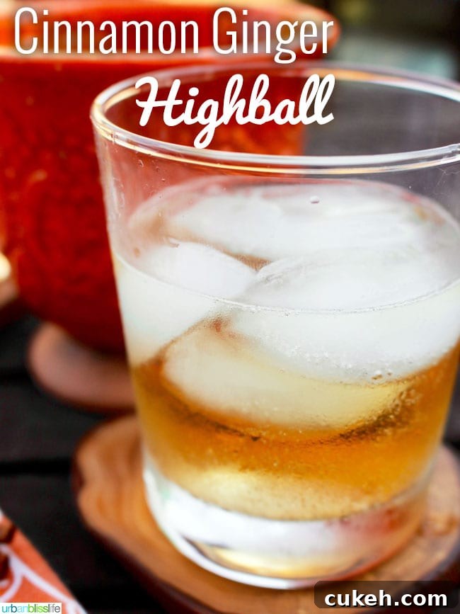 Ginger Highball with cinnamon liqueur