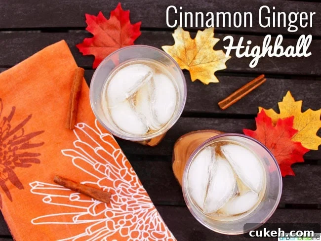 Cinnamon Ginger Highball fall cocktail recipe on UrbanBlissLife.com