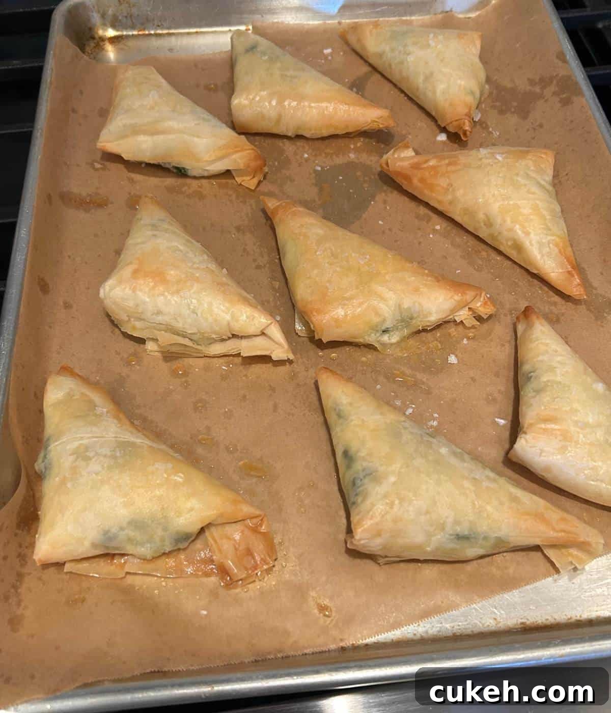 Baked phyllo dough with spinach cheese filling.