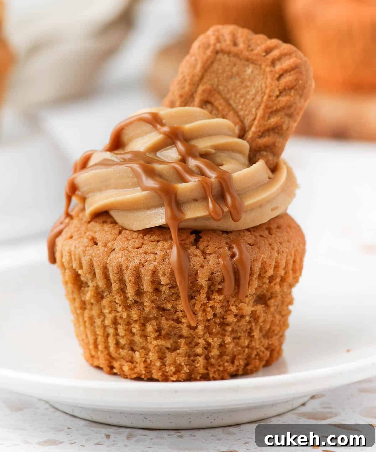 Biscoff Cupcake with cream cheese frosting, biscoff drizzle and cookie.