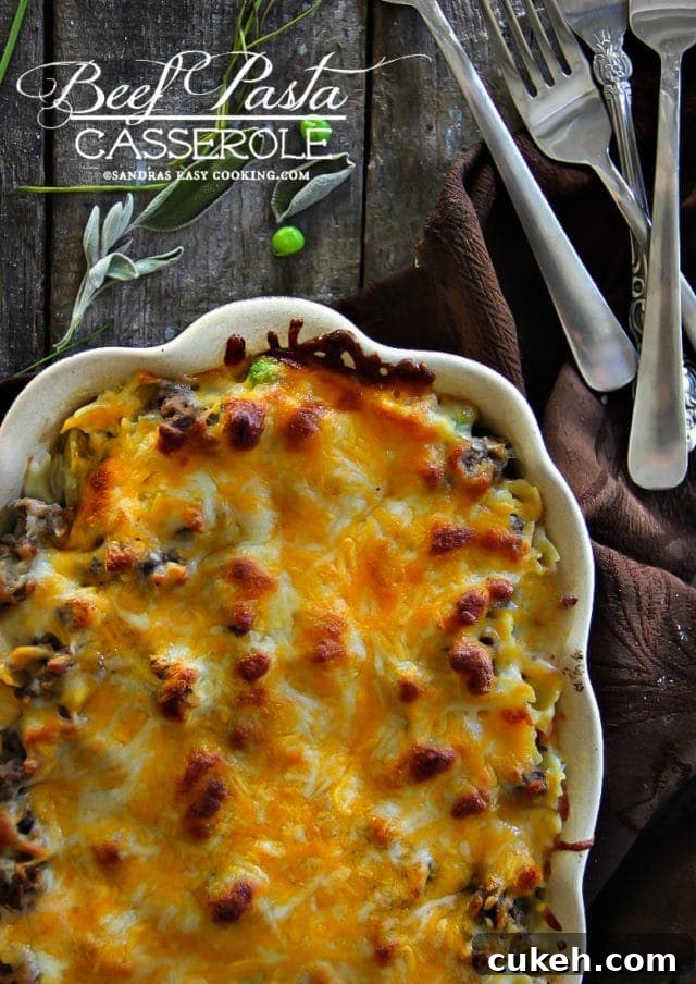 TOP 10 Weeknight Pasta Recipes