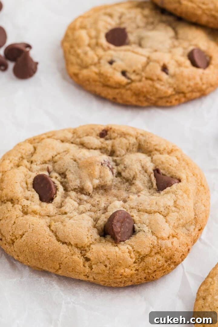 Gluten free chocolate chip cookies on a plate with chocolate chips off the plate by the side and milk in the background.
