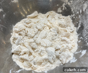 Crispy Fried Calamari Recipe — Light, Crunchy Seafood Snack 12 img 1832 12