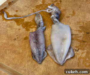 Crispy Fried Calamari Recipe — Light, Crunchy Seafood Snack 8 img 1832 8