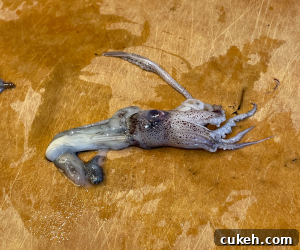 Crispy Fried Calamari Recipe — Light, Crunchy Seafood Snack 9 img 1832 9