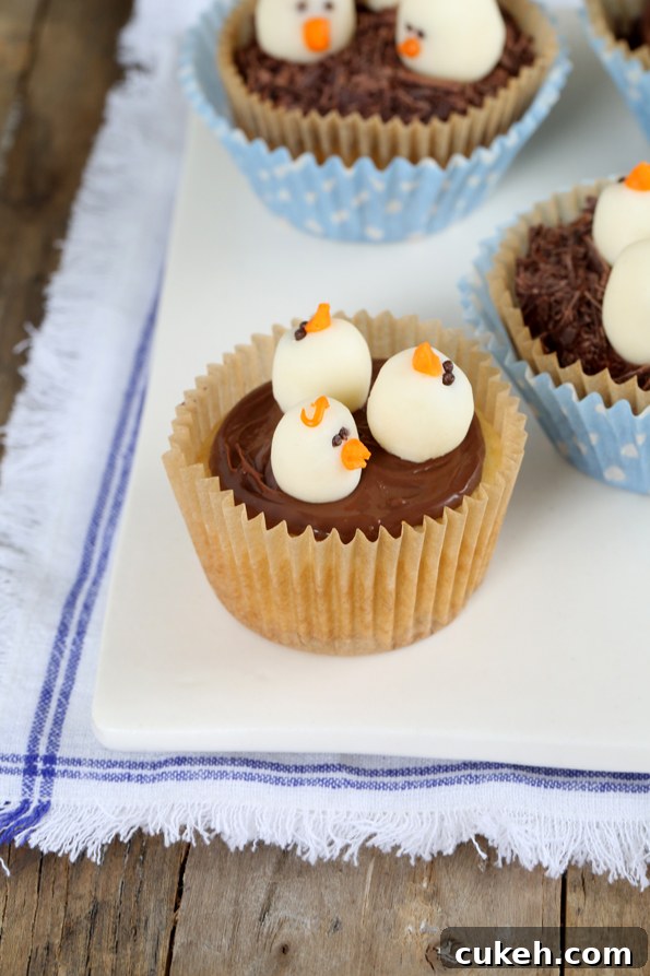 Chip cupcakes on white towel 