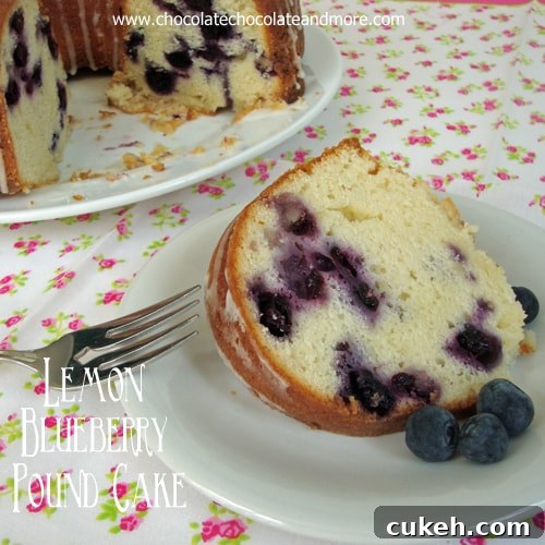 Lemon Blueberry Pound Cake from www.chocolatechocolateandmore.com