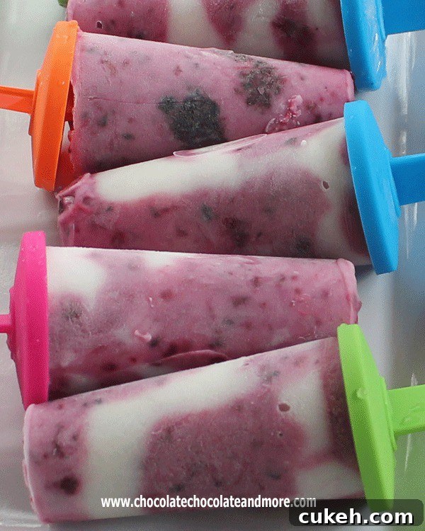 Blackberry and Vanilla Yogurt Swirled Popsicles