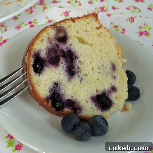 Lemon Blueberry Pound Cake from www.chocolatechocolateandmore.com