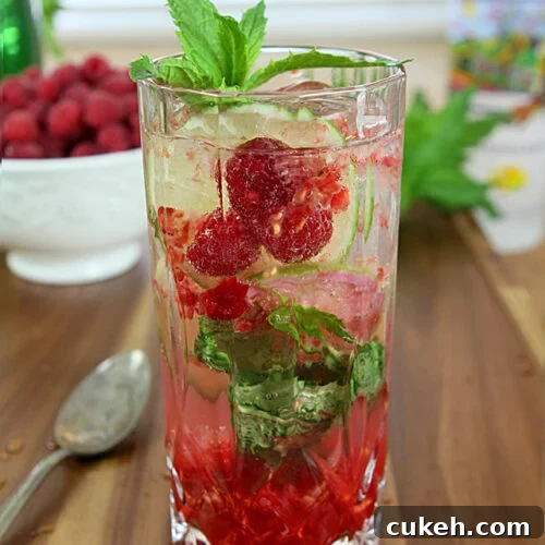 Raspberry Vodka Mojito Cocktail with Mint Garnish Served in a Tom Collins Glass