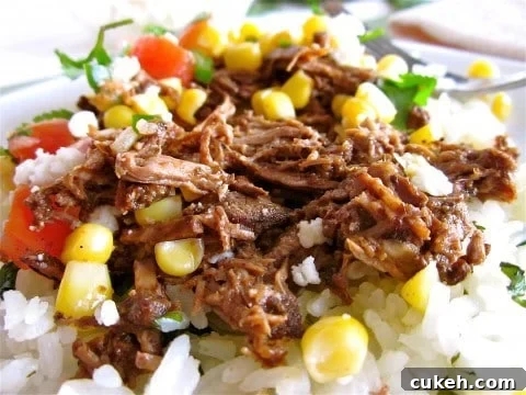 Barbacoa Beef from TheFoodCharlatan.com