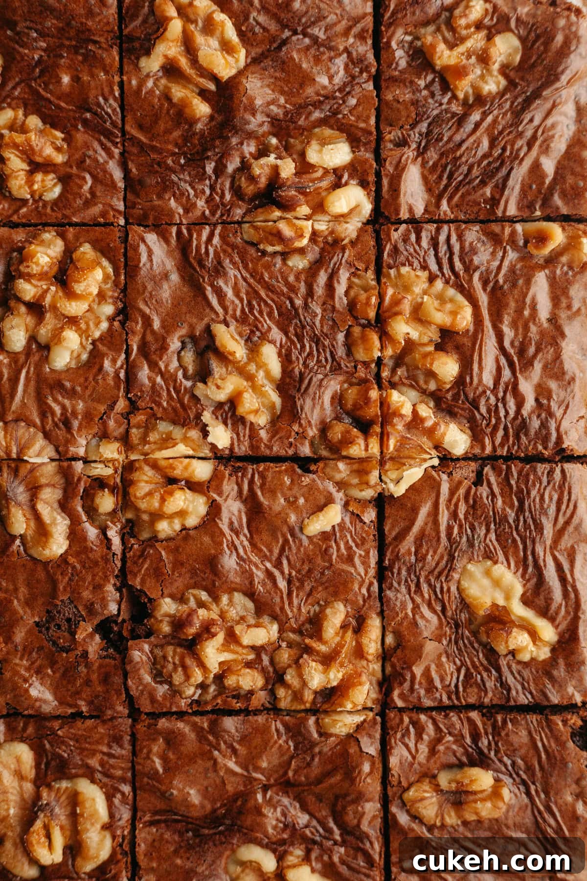 An overhead shot of sliced walnut brownies.