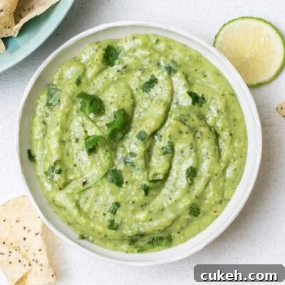 A bowl of avocado salsa verde garnished with cilantro.